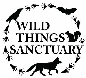 Wild Things Sanctuary